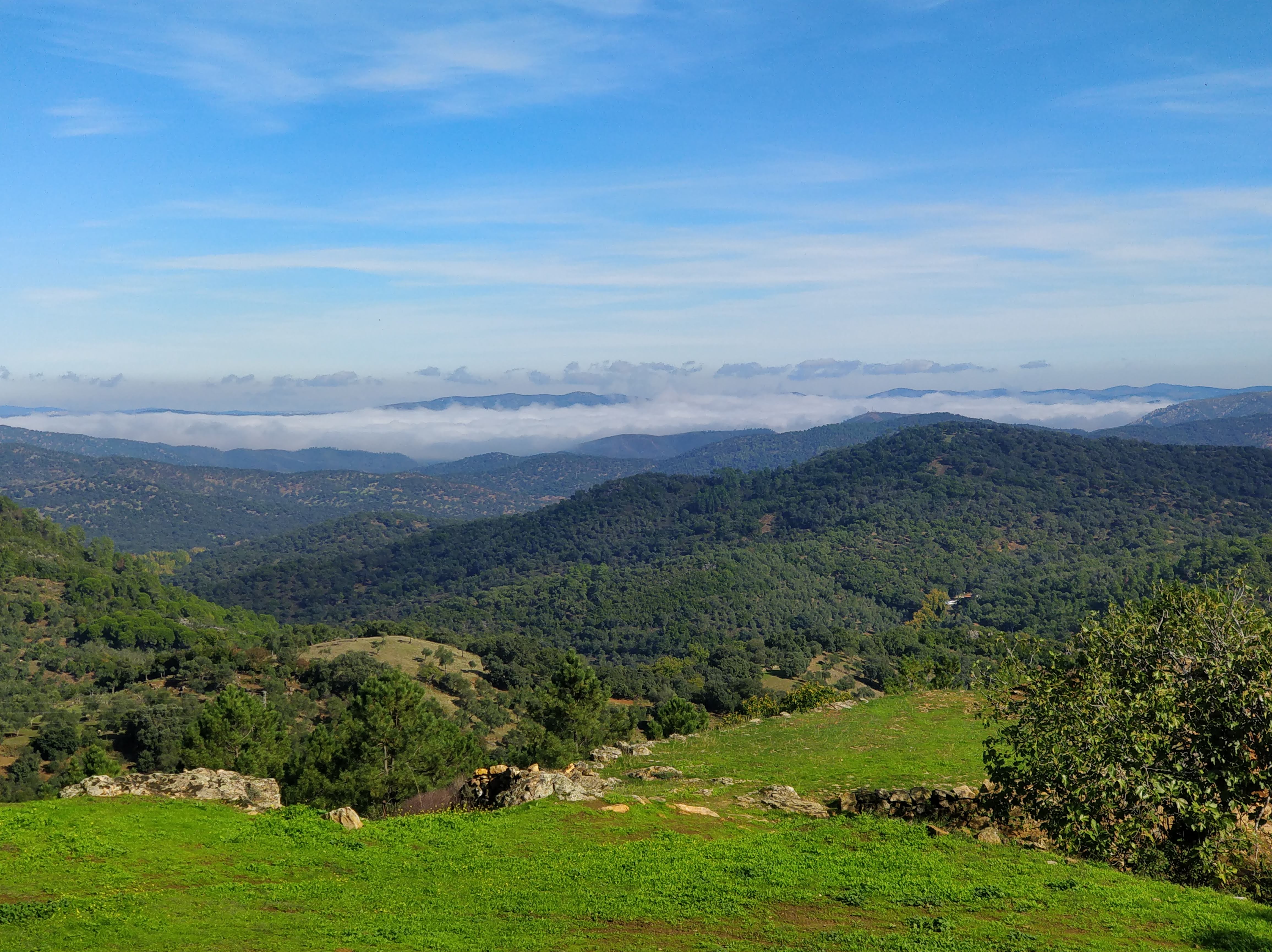 Paisaje de la sierra