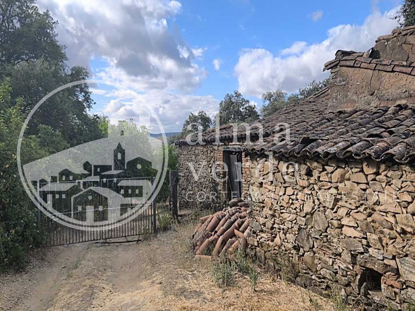 Magnifica finca de 10 hectáreas en umbría con microclima propio. - Imagen 9