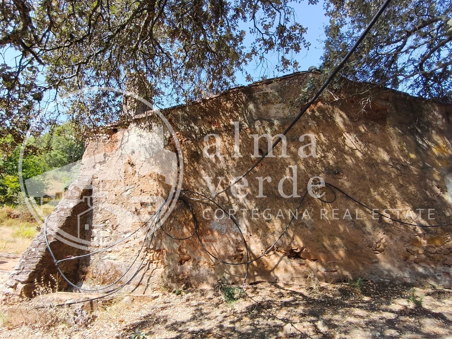 Magnifica finca de 10 hectáreas en umbría con microclima propio. - Imagen 12