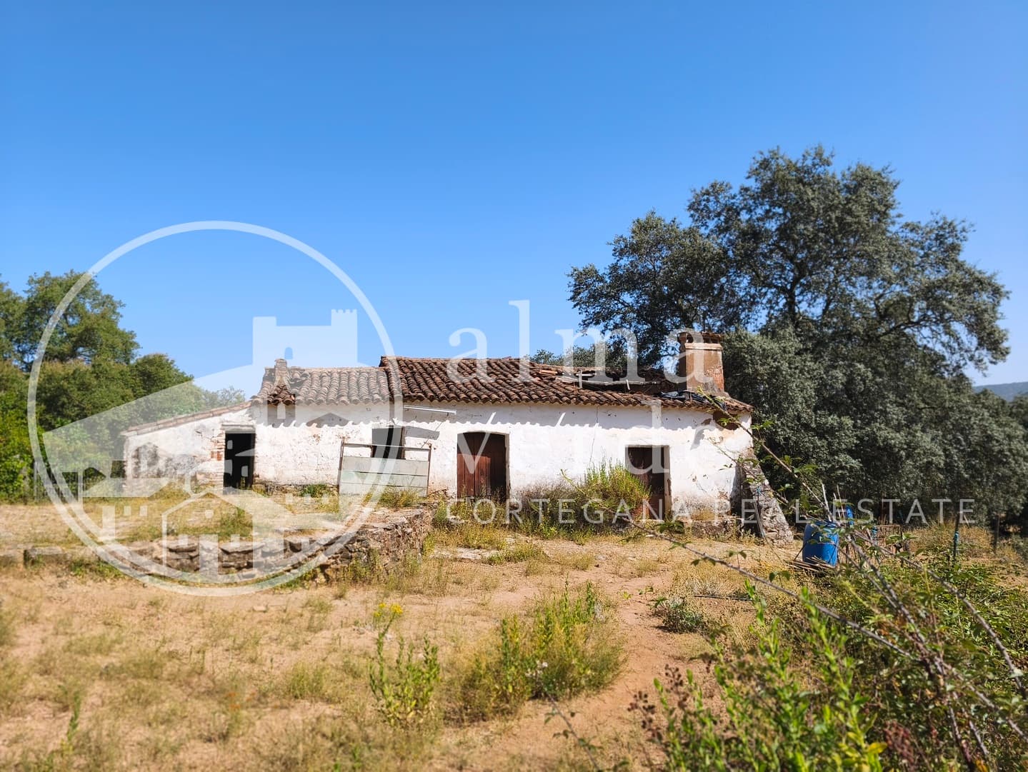 Magnifica finca de 10 hectáreas en umbría con microclima propio. - Imagen 7