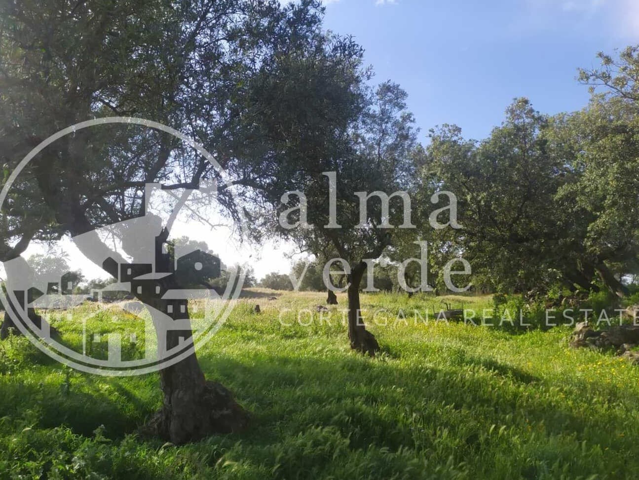 Finca en plena Cañada Real histórica de trashumancia a Portugal. - Imagen 8
