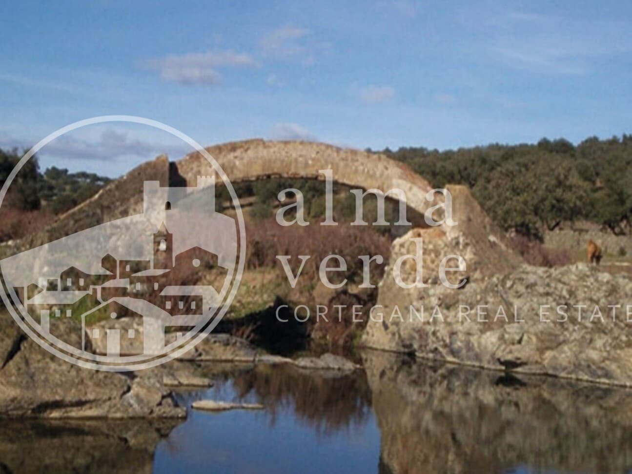 Finca en plena Cañada Real histórica de trashumancia a Portugal. - Imagen 11