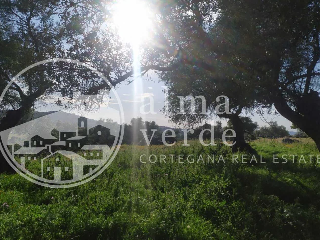 Finca en plena Cañada Real histórica de trashumancia a Portugal. - Imagen 9
