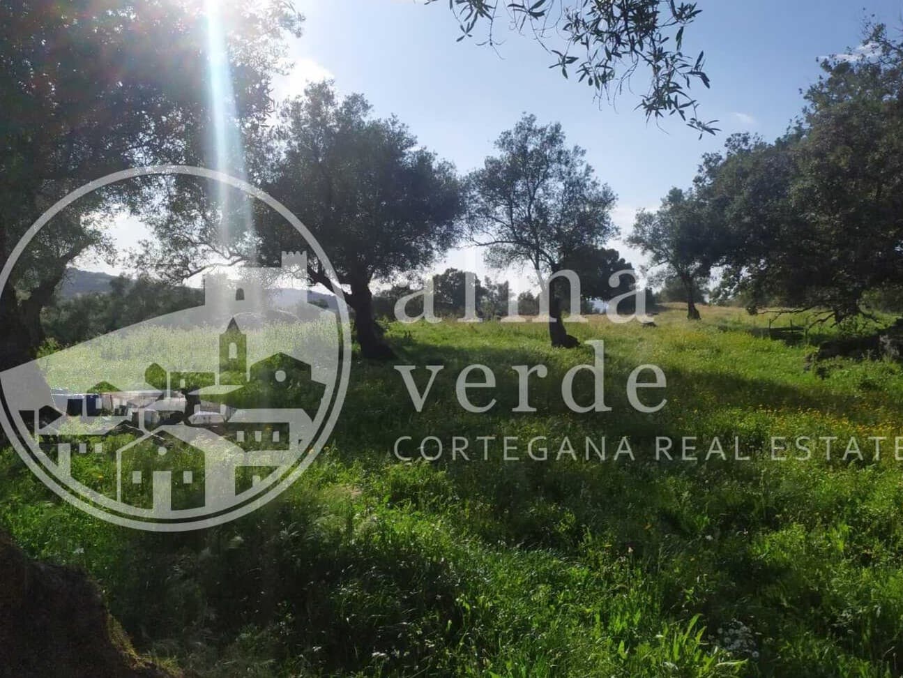 Finca en plena Cañada Real histórica de trashumancia a Portugal. - Imagen 6