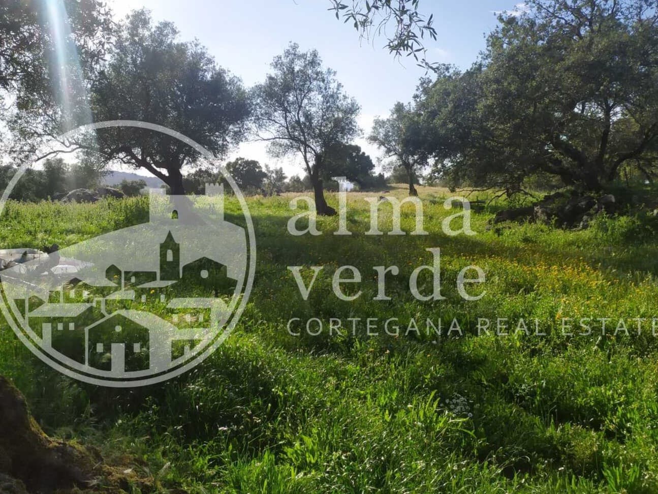 Finca en plena Cañada Real histórica de trashumancia a Portugal. - Imagen 7