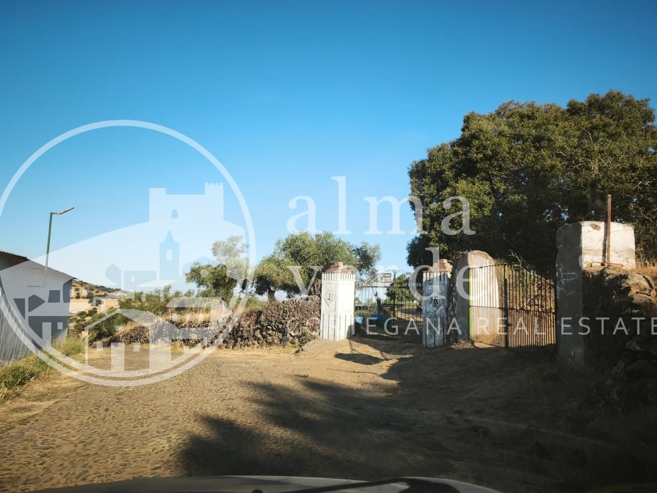 Finca en plena Cañada Real histórica de trashumancia a Portugal. - Imagen 3