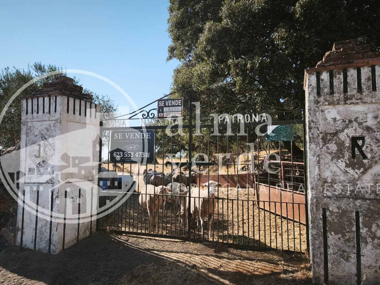 Finca en plena Cañada Real histórica de trashumancia a Portugal. - Imagen 4