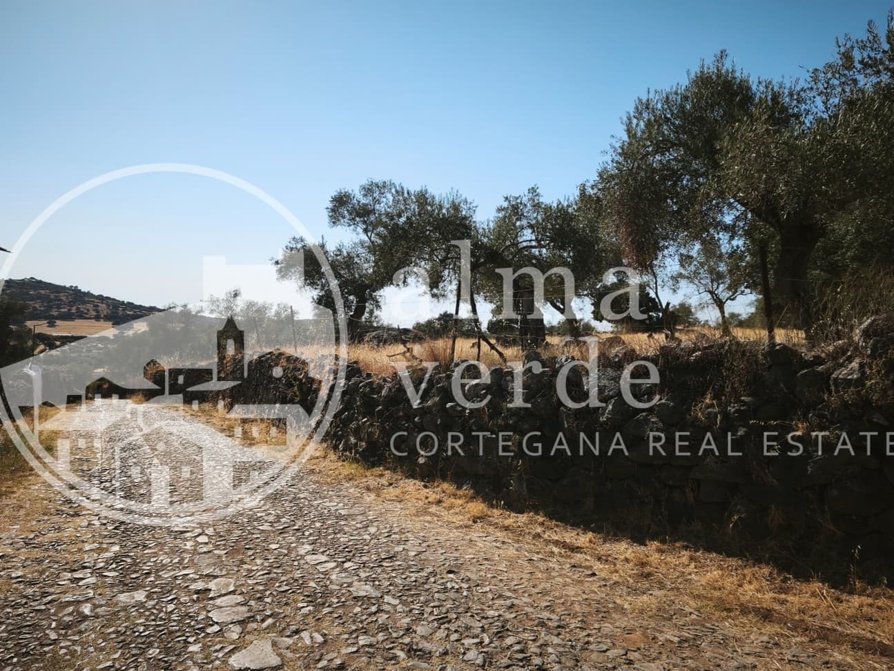 Finca en plena Cañada Real histórica de trashumancia a Portugal. - Imagen 2
